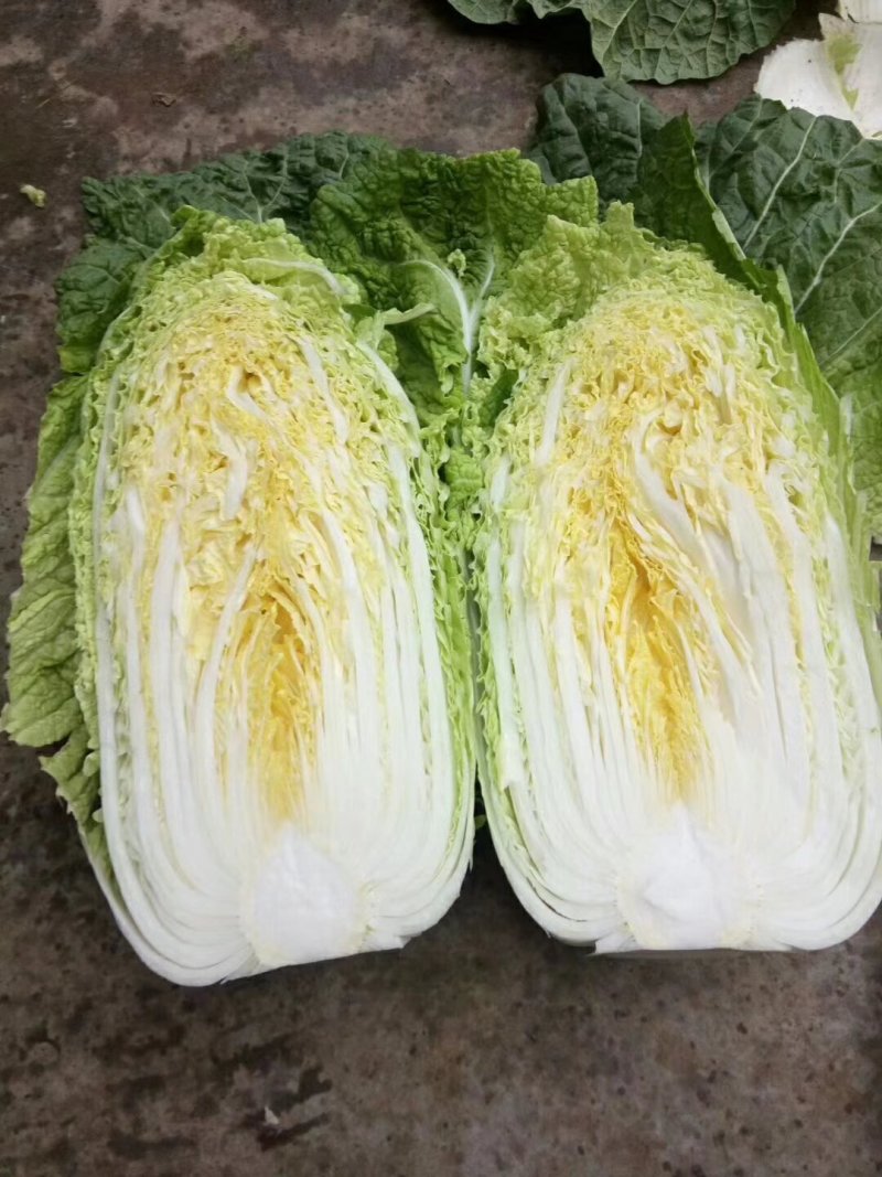 黄心白菜，精品玲珑黄，精品白菜