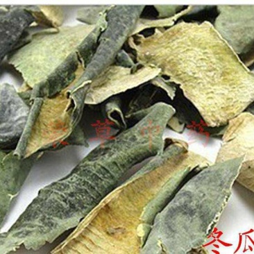 大货批发冬瓜皮原药材冬瓜皮