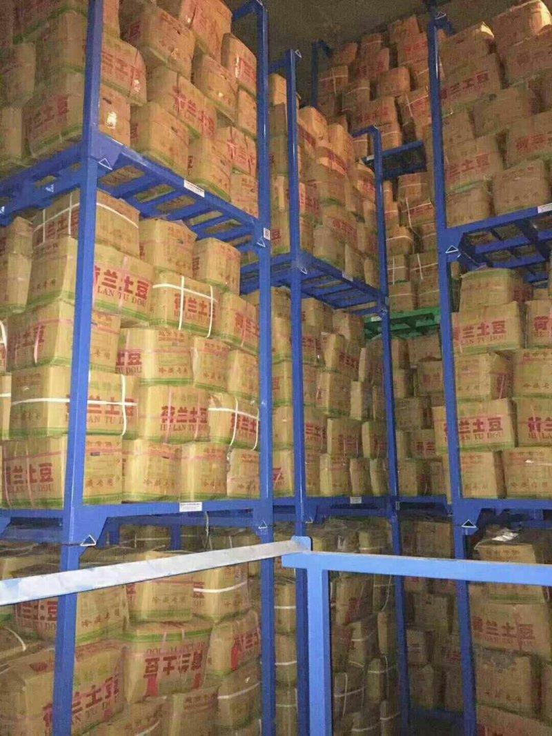 荷兰十五，大棚土豆，陆地土豆，冷库土豆，