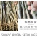 银杏苗银杏树苗银杏小苗绿化专用苗金叶银杏树苗白果树苗银杏