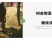 银杏苗银杏树苗银杏小苗绿化专用苗金叶银杏树苗白果树苗银杏