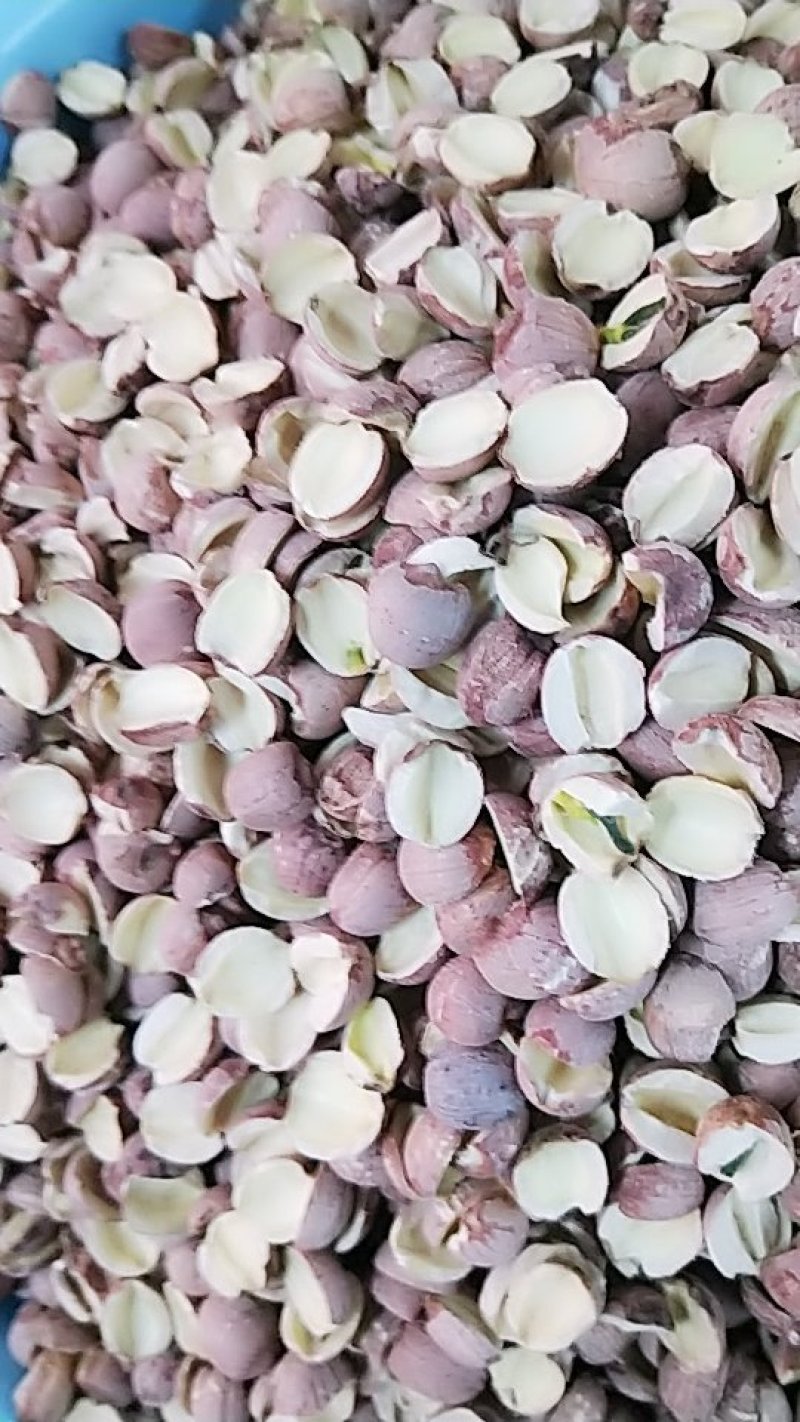 湖南湘莲子开边质量可以