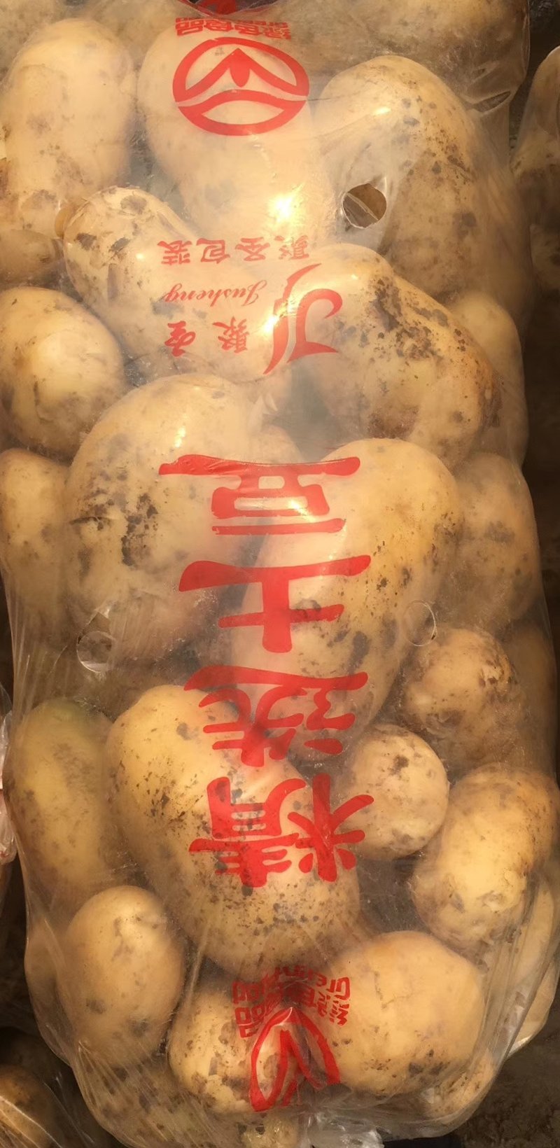 本地新土豆开始上市中