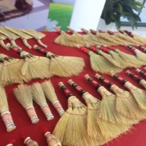 矮杆笤帚用高粱新品种抗病抗倒高产适应性强耐旱红帚1号
