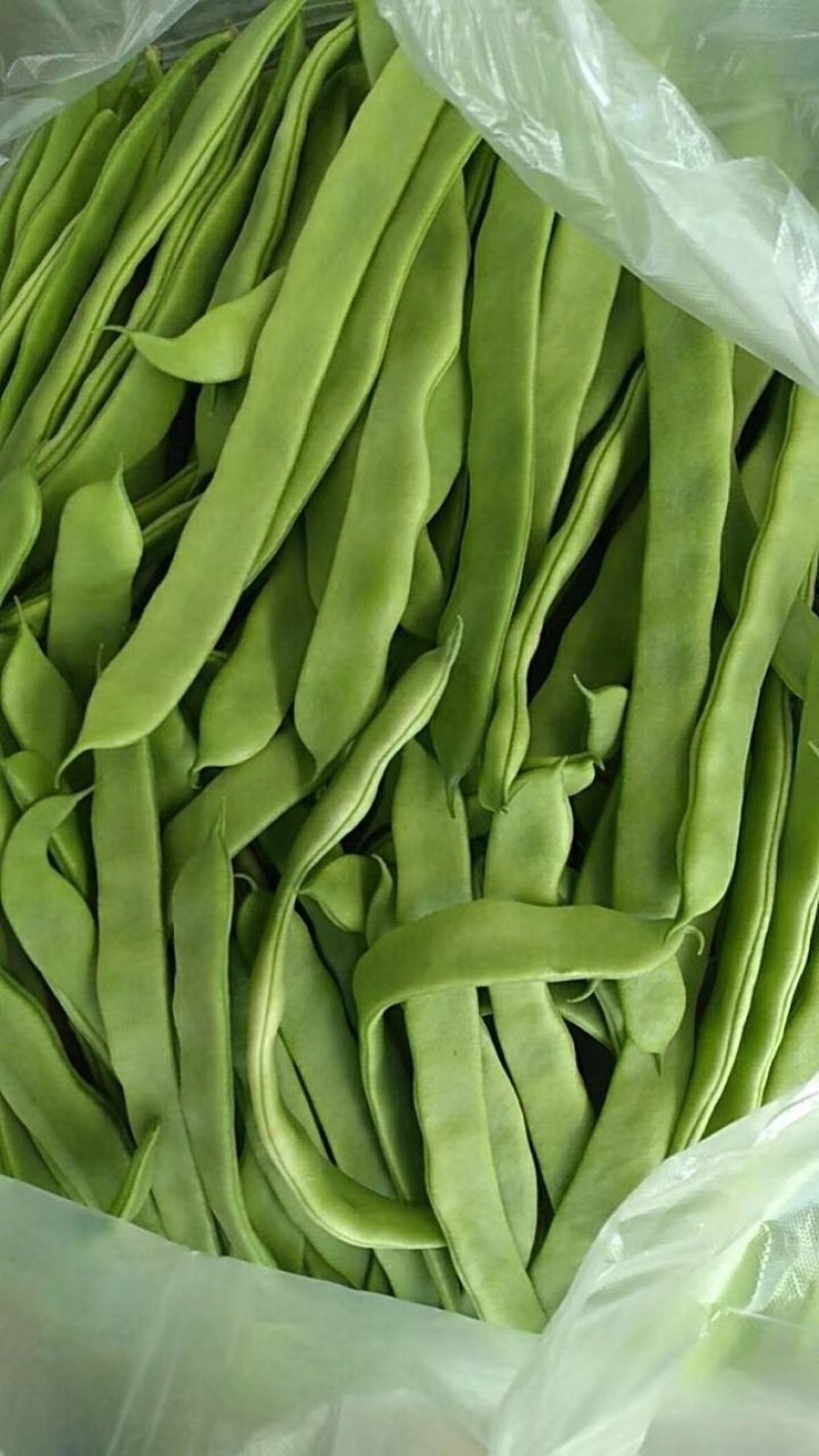 扁豆新鲜下市