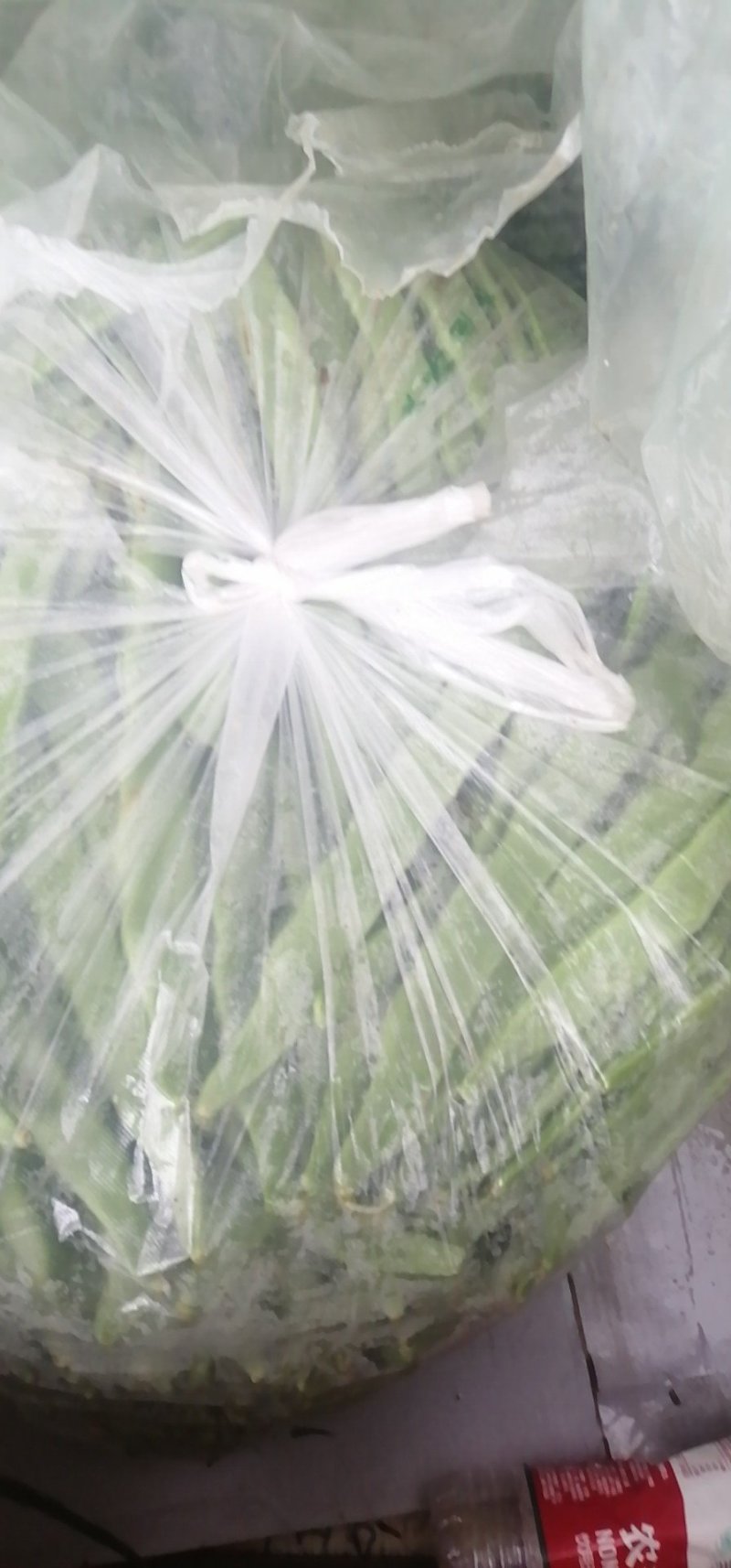 扁豆新鲜下市