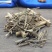 含羞草根无硫净货保正品野生批发零售冷背中药材