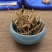 含羞草根无硫净货保正品野生批发零售冷背中药材