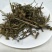 含羞草知羞草害羞草药用无硫净货批发零售冷背中药材