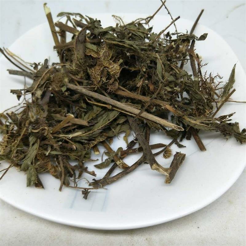 含羞草知羞草害羞草药用无硫净货批发零售冷背中药材