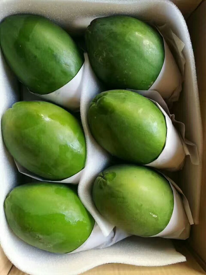 海南红心木瓜