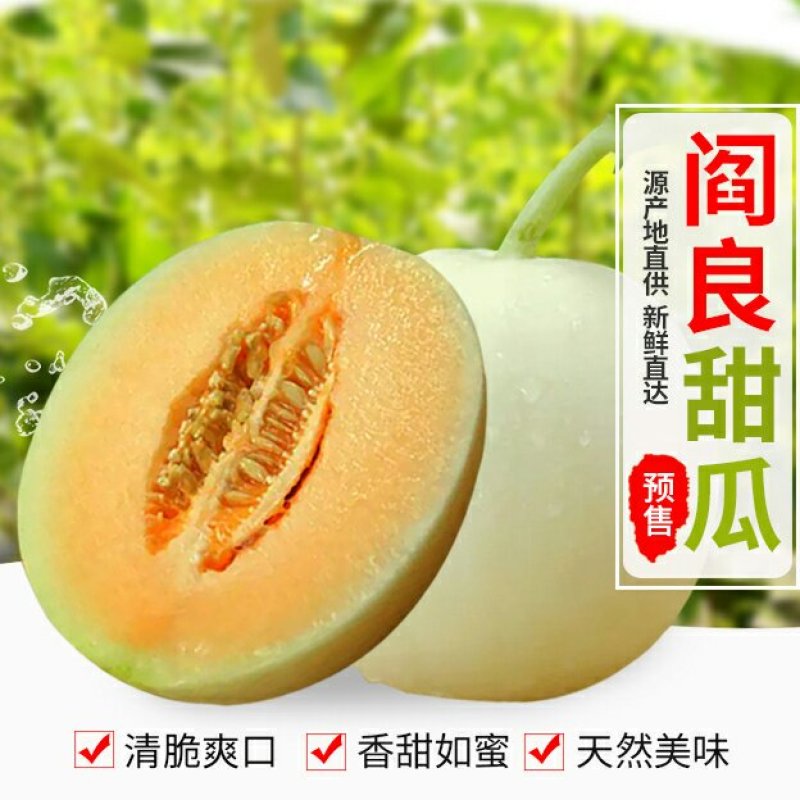 正宗闫良甜瓜，口感脆甜，皮薄肉厚