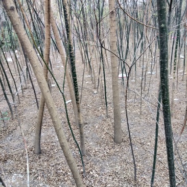货源充足量大价优