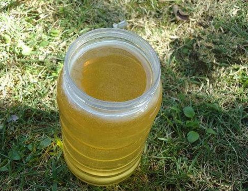 秦岭纯洋槐蜜