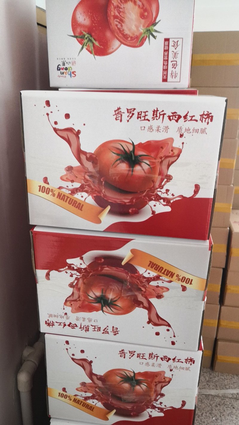 【实力热卖】普罗旺斯西红柿，礼盒装可一件代发团购批发