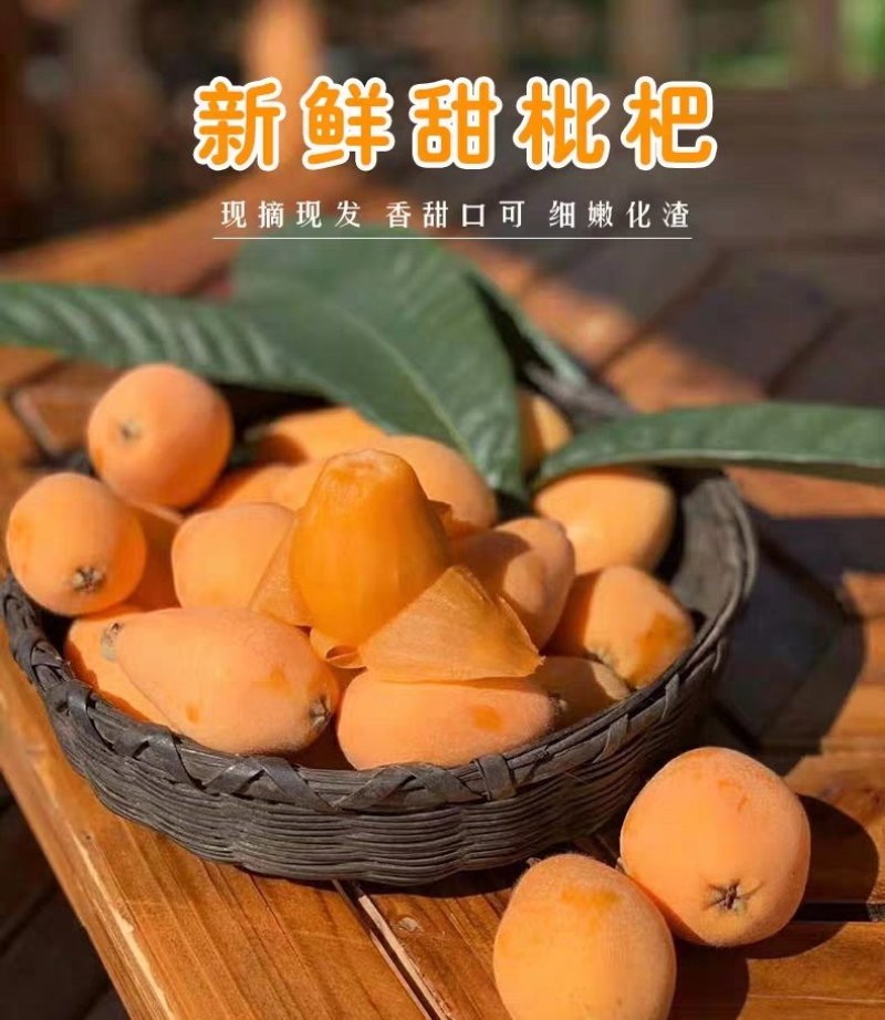 10斤精装五星大枇杷招全国代理，支持一件代发