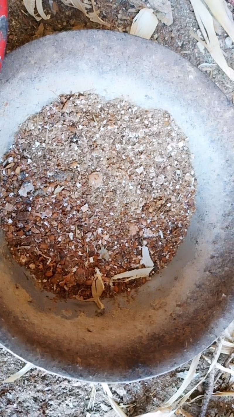纯粮食喂养笨鸡蛋