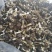 包邮赤松茸，红菇，野生化，优质，豪华礼盒，
