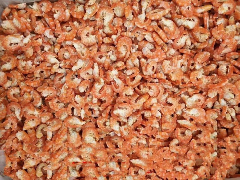 干货山东滨州沾化原干大海米一手货源虾仁海米