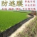 小龙虾螃蟹养殖防逃膜