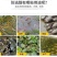 小龙虾螃蟹养殖防逃膜