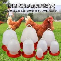 饮水器买十送二鸡水壶鸡用自动饮水器鸡鸭鹅自动喂水