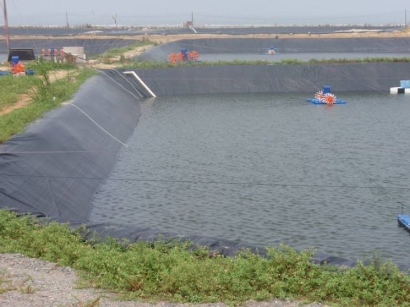 防渗膜水产养殖进口原料防渗膜鱼池蓄水池人工湖防渗膜