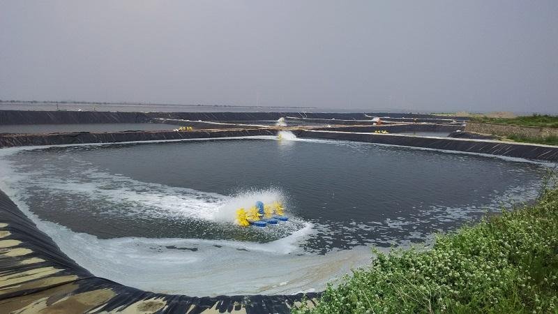 防渗膜水产养殖进口原料防渗膜鱼池蓄水池人工湖防渗膜