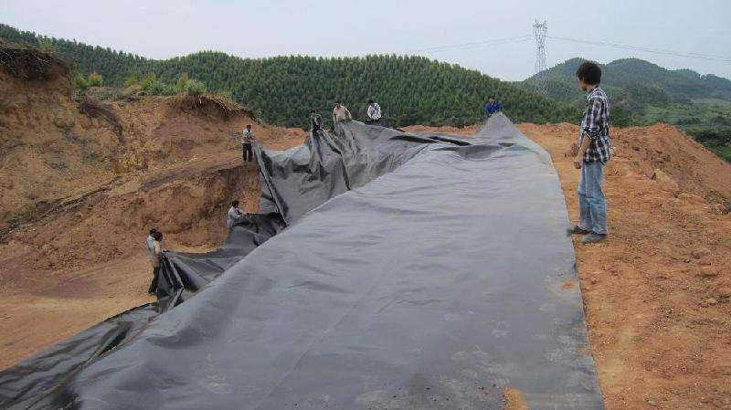 防渗膜水产养殖进口原料防渗膜鱼池蓄水池人工湖防渗膜