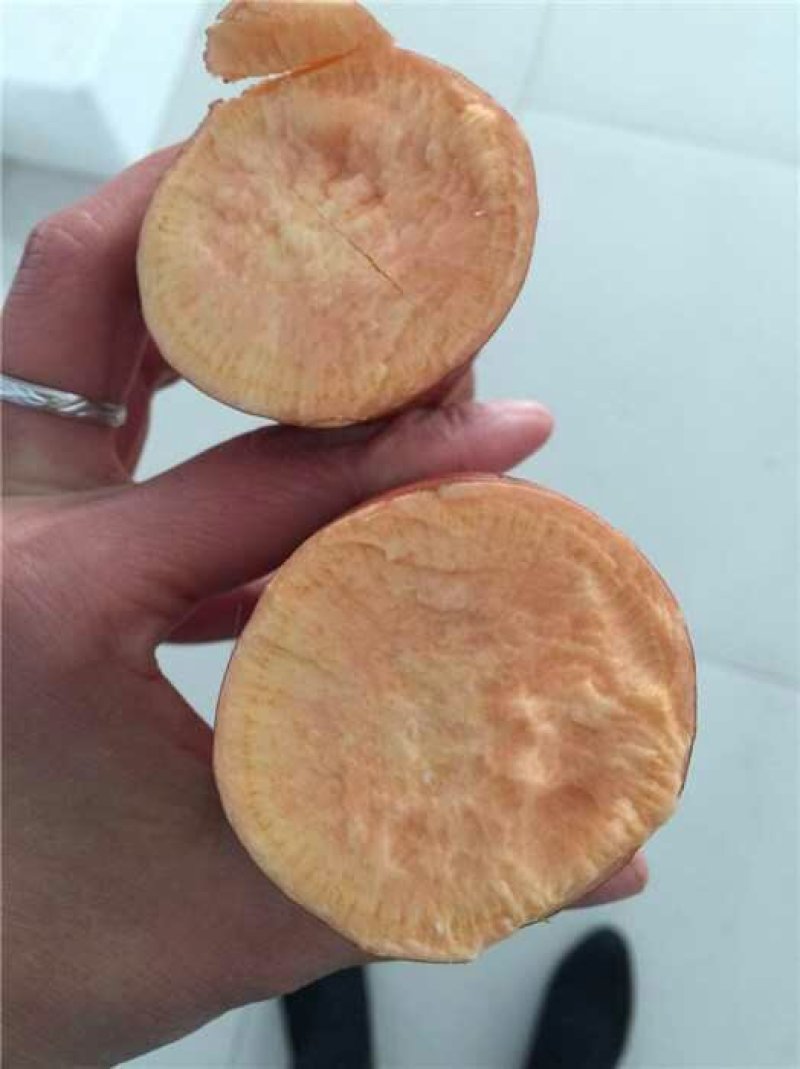 红薯苗，烟薯25优质脱毒红薯苗