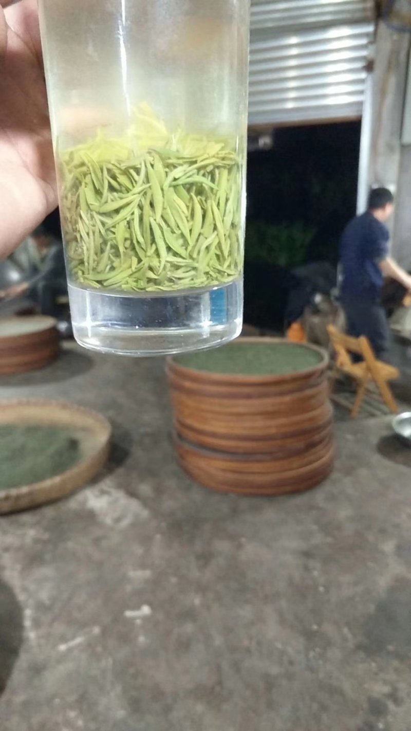 信阳毛尖