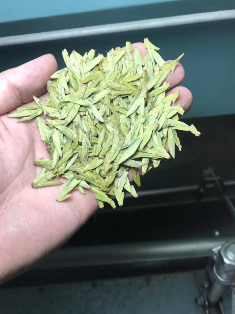高山茶，