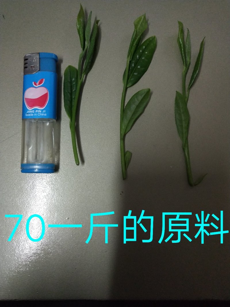高山茶，