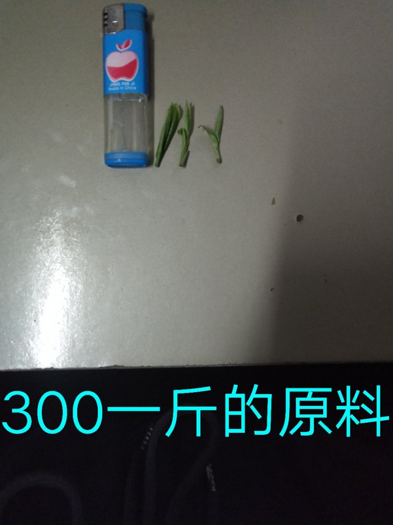 高山茶，