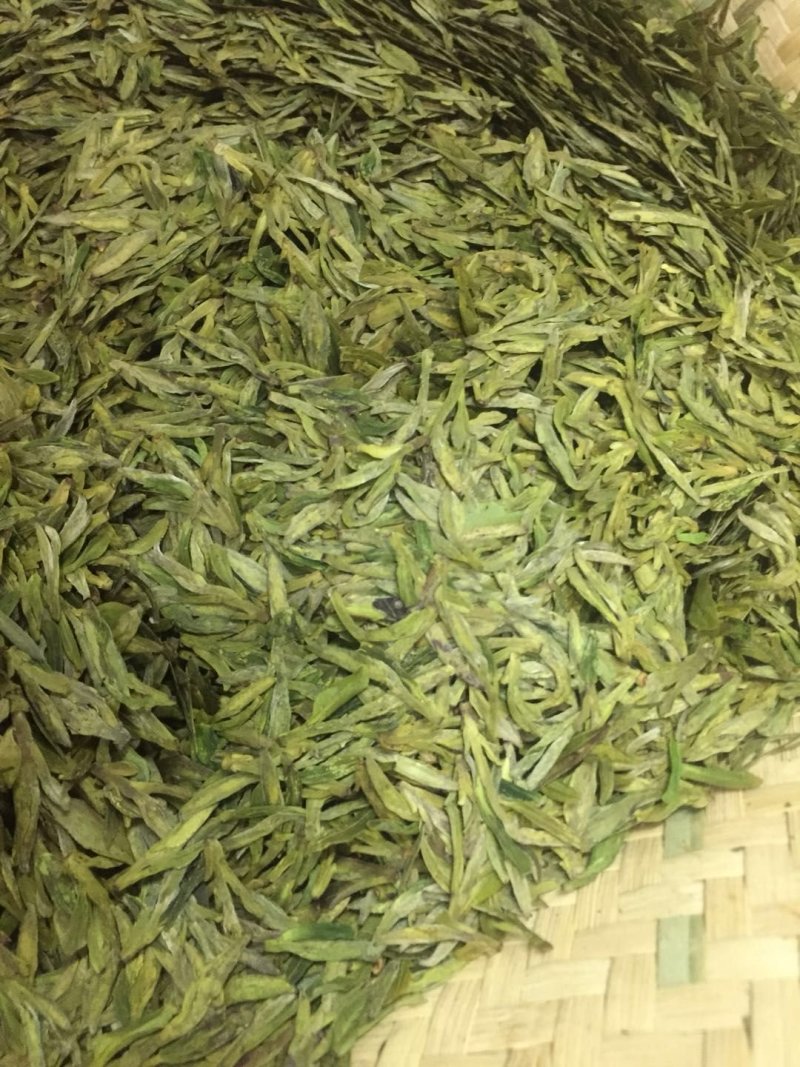 高山茶，