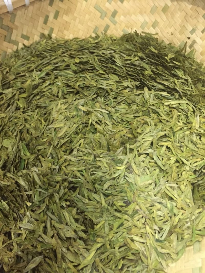 高山茶，