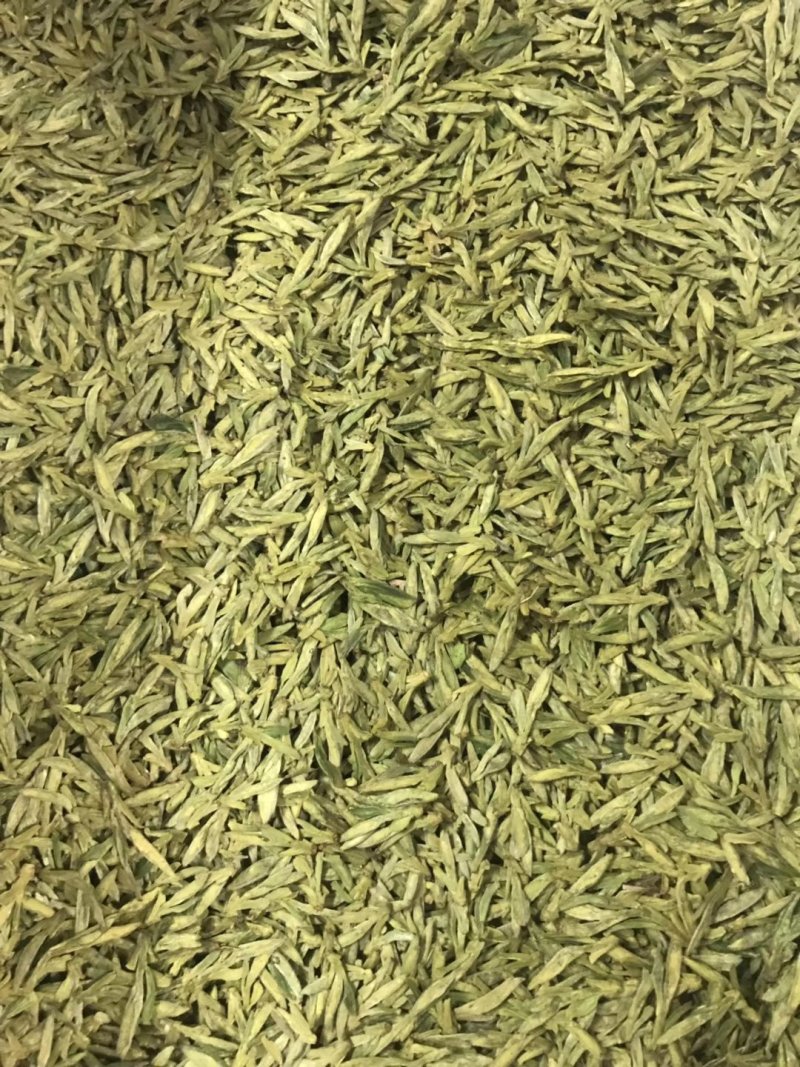 高山茶，