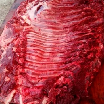 驴肉