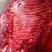 驴肉