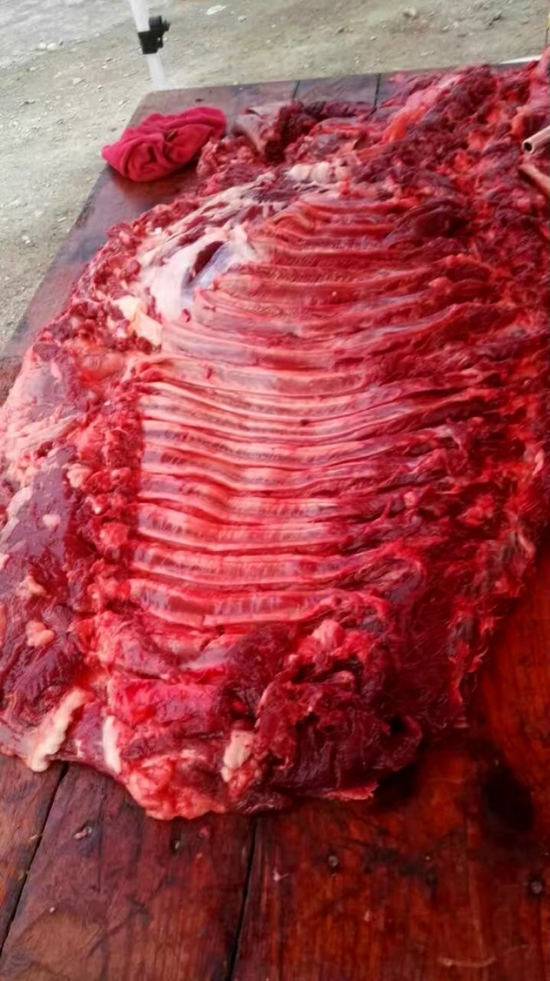驴肉