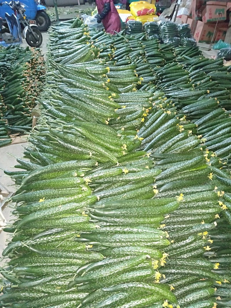 黄瓜