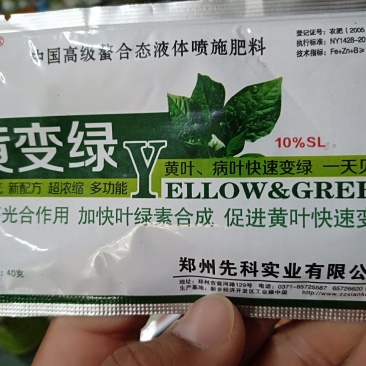 黄叶病，叶变绿叶，详细介绍请看包装说明谢谢！