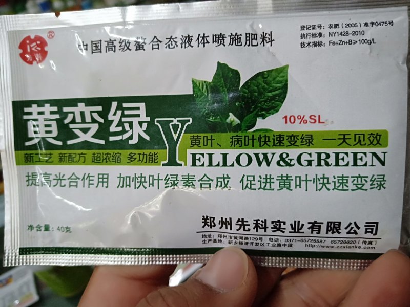 黄叶病，叶变绿叶，详细介绍请看包装说明谢谢！