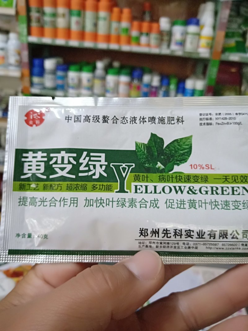 黄叶病，叶变绿叶，详细介绍请看包装说明谢谢！