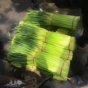 蒜薹，精品干苔，质量好，价格优，代收，代发