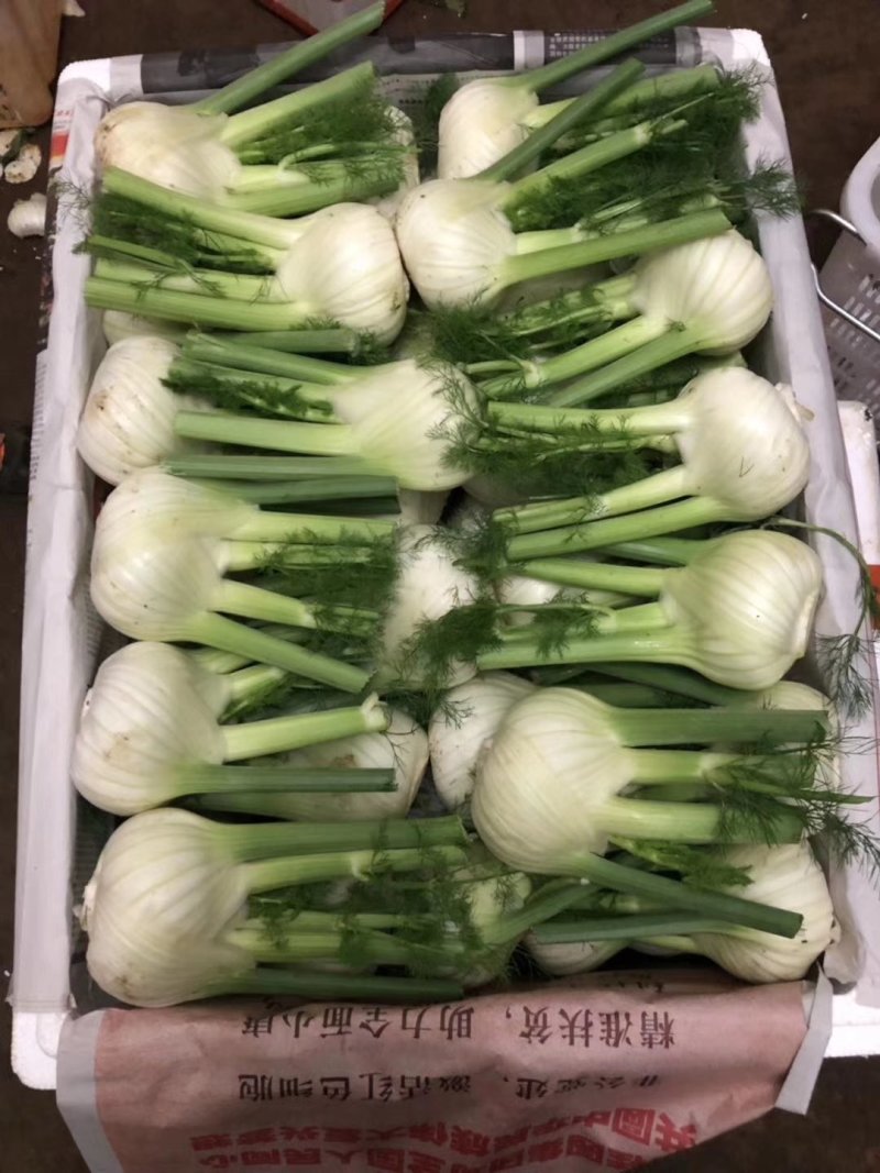 茴香球