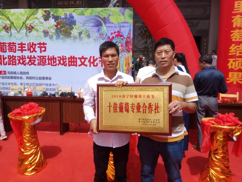 福建寿宁高山富锌葡萄含硒锌量高5斤装10装