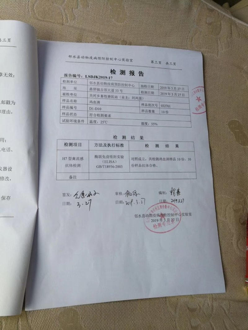 孔雀蓝鸡种蛋野鸡蛋可以孵化小山鸡种蛋可以食用的新鲜山鸡蛋