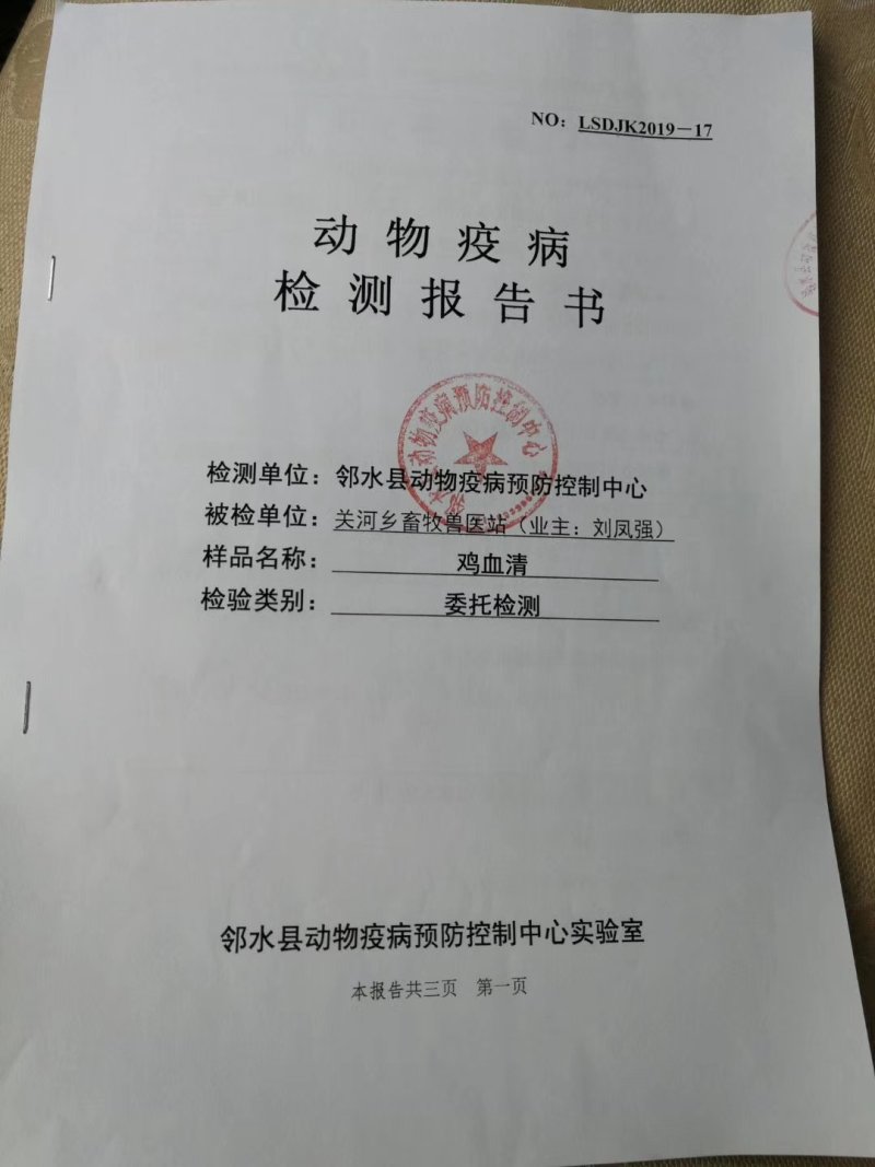 孔雀蓝鸡种蛋野鸡蛋可以孵化小山鸡种蛋可以食用的新鲜山鸡蛋