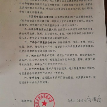 福建寿宁高山水蜜桃含硒锌量高5斤装10斤装
